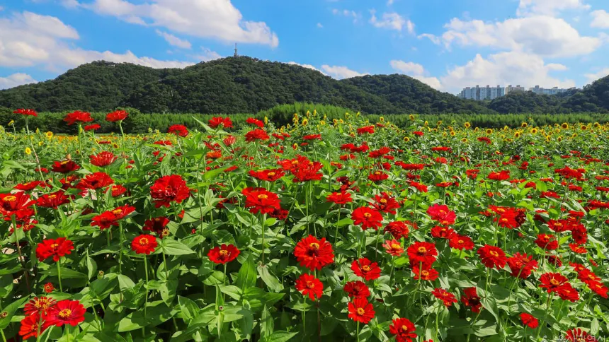 노을공원