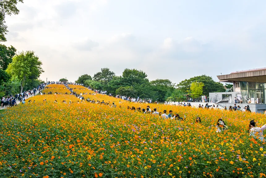 서울 올림픽공원 들꽃마루