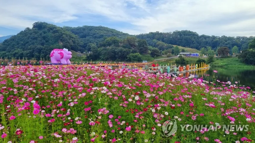 공주 미르섬