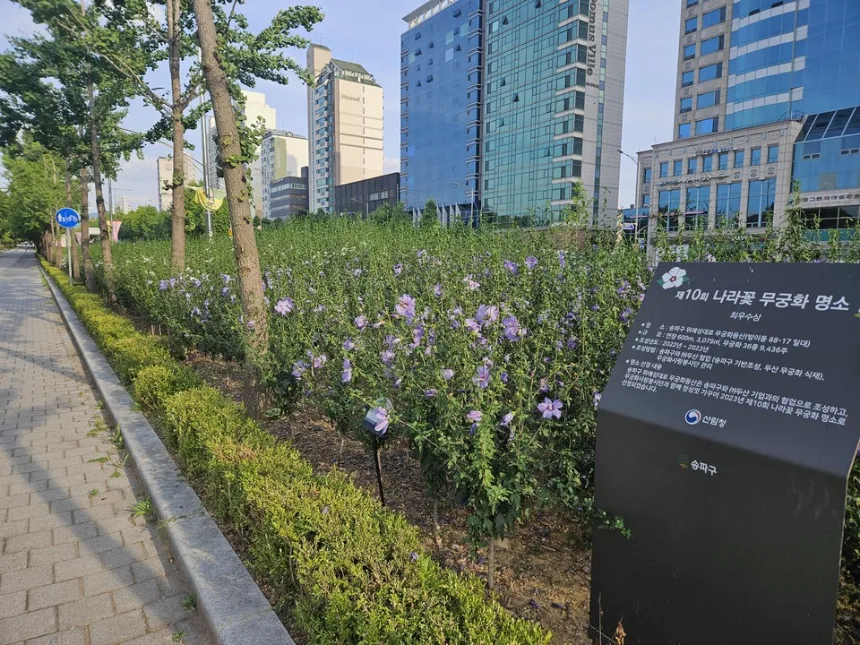 인천 계양꽃마루
