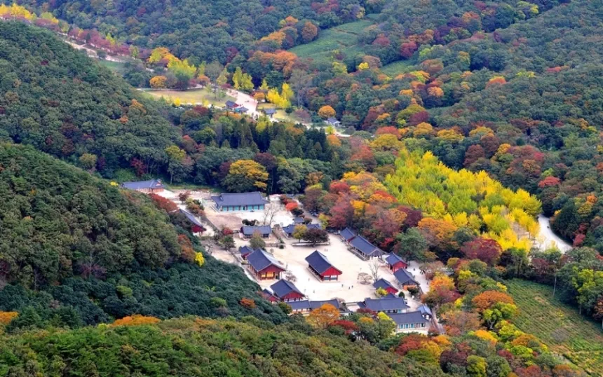 고창 선운사