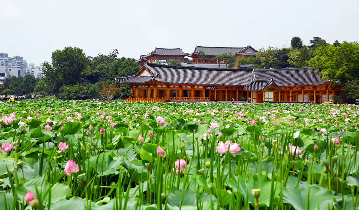 전주 덕진공원